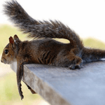relaxation1